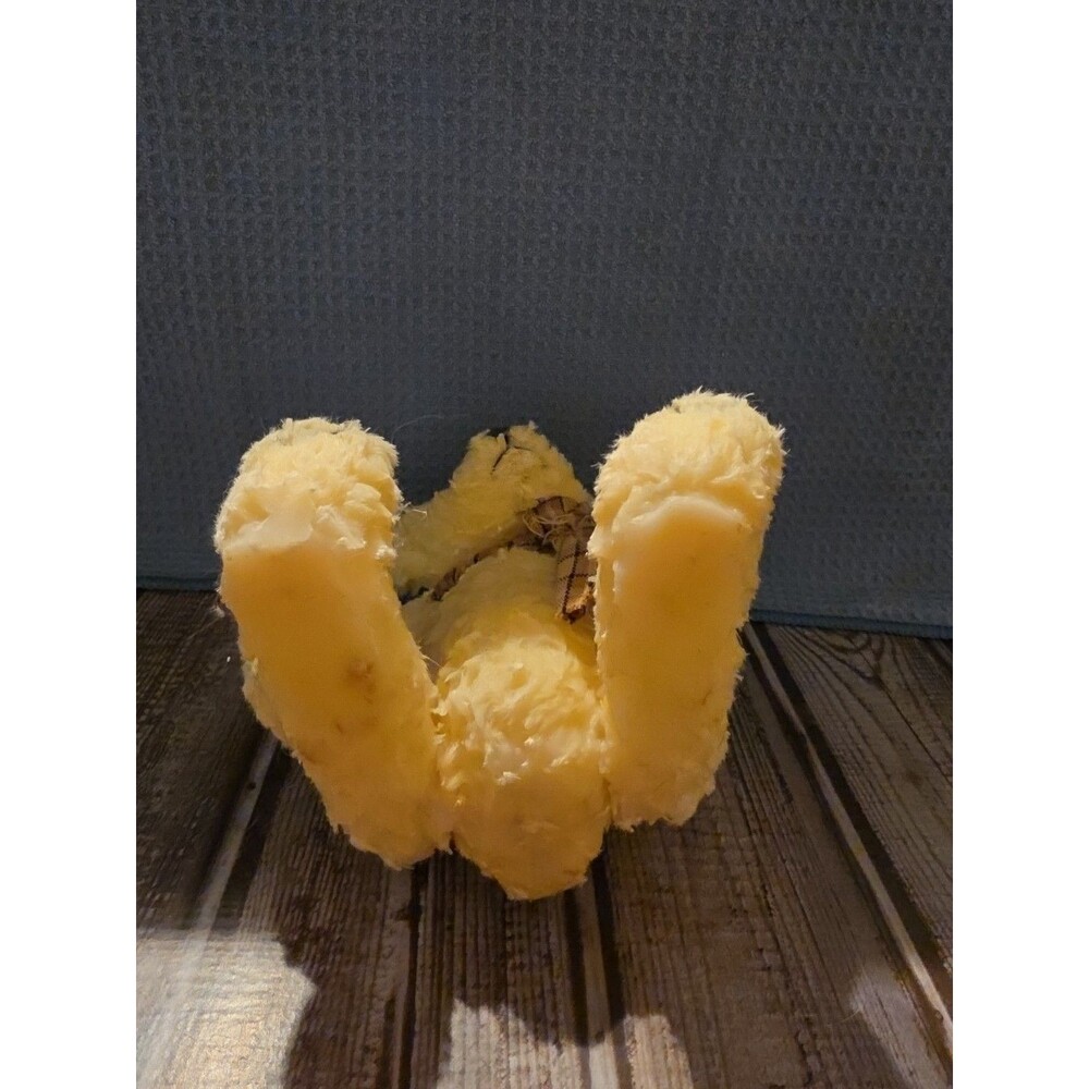 White, Wax Dipped Teddy Bear Vanilla Scented - Picture 5 of 6